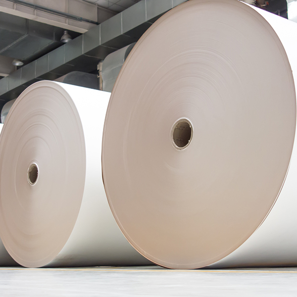 Industrial rolls placed in a warehouse